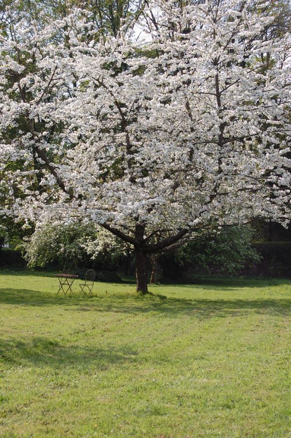 Gite Dans Un Domaine Historique Chevreuse Kültér fotó